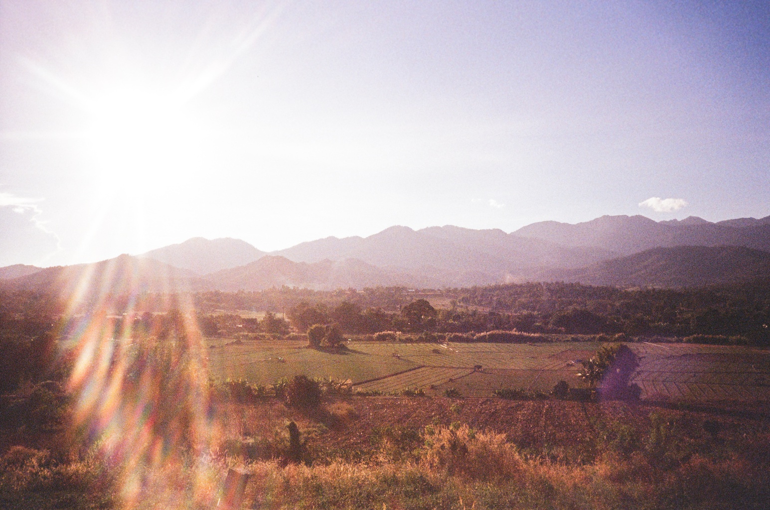 Hayfield