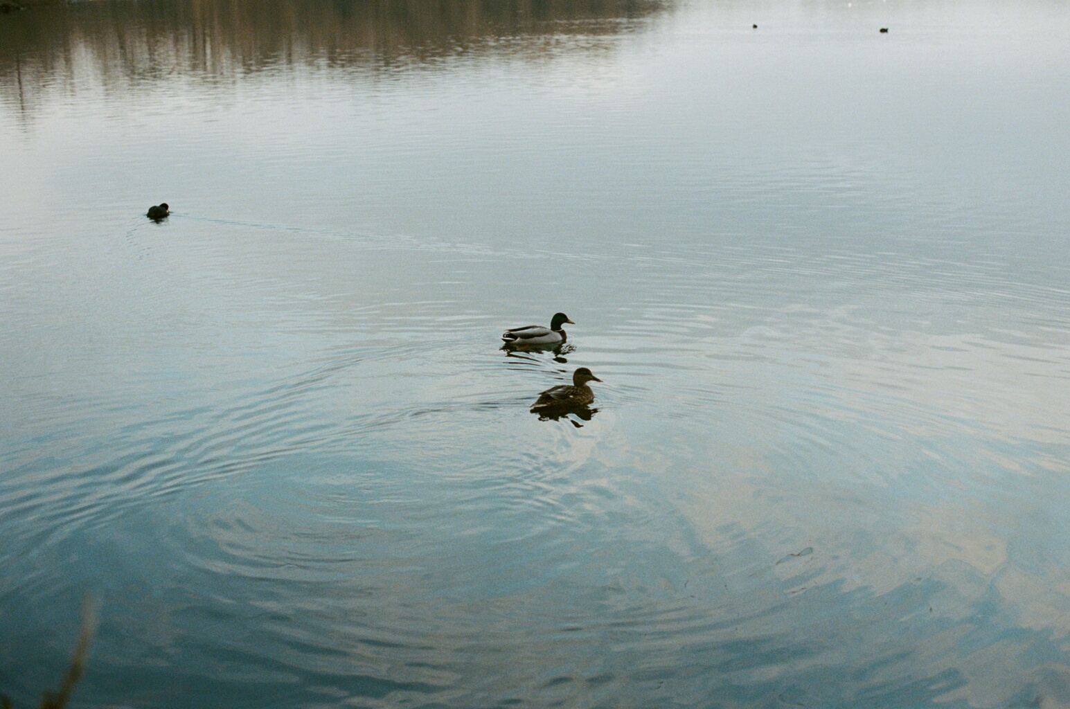Lake/natural