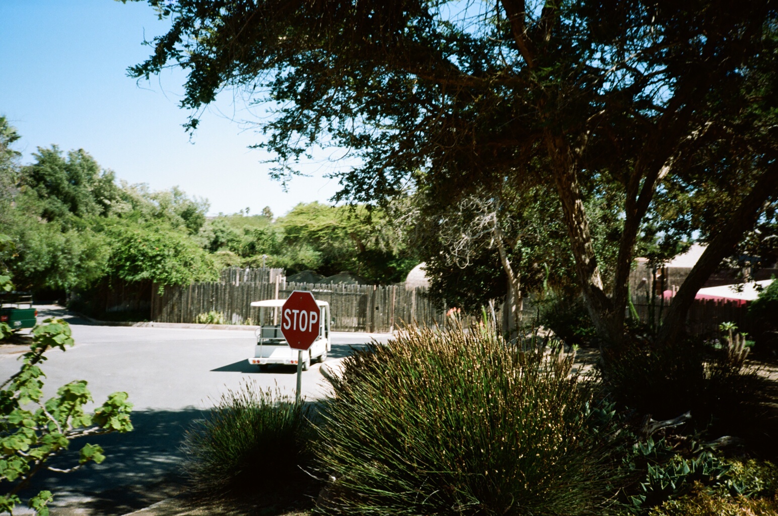 Picnic Area