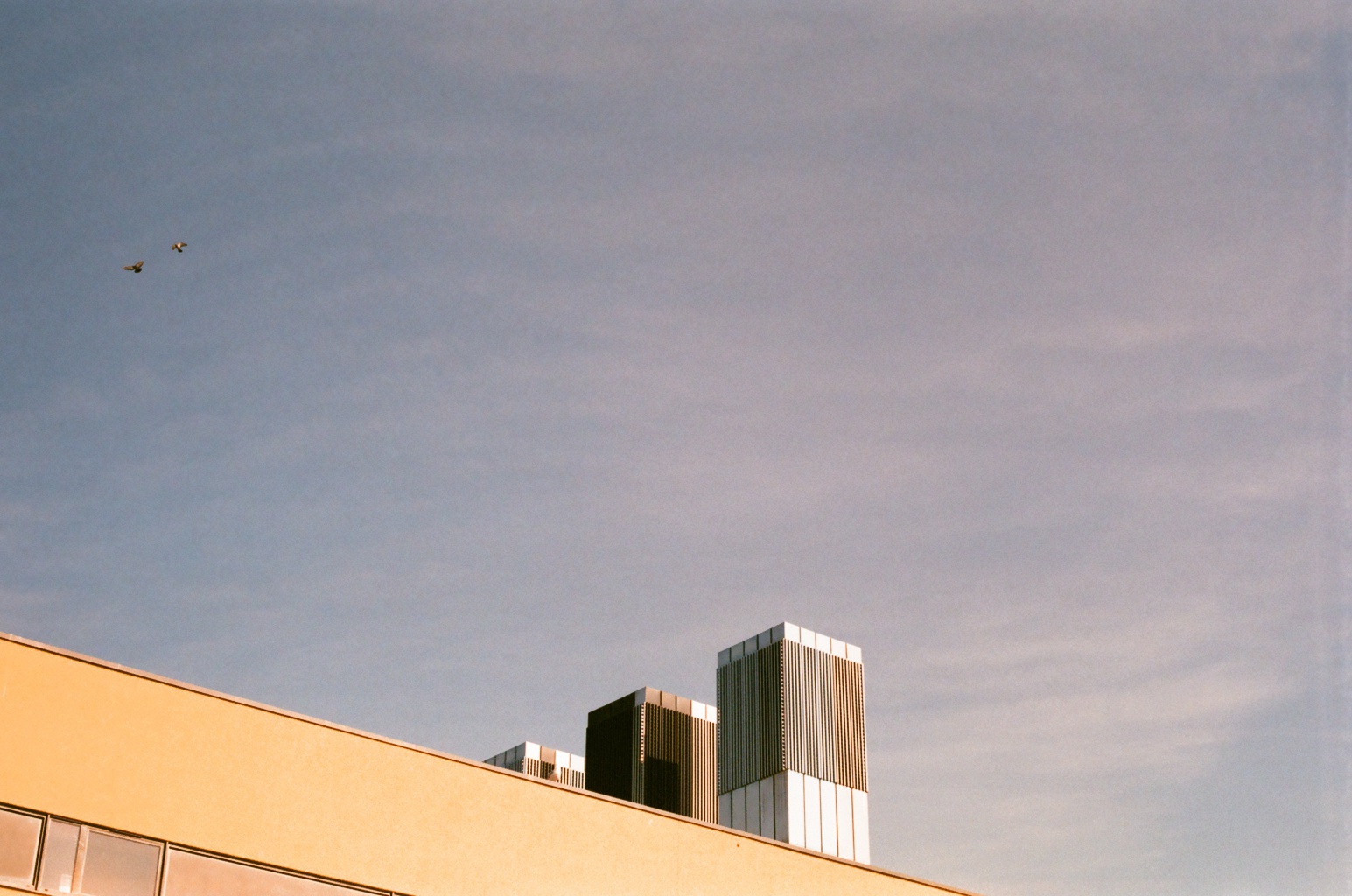 Sky
