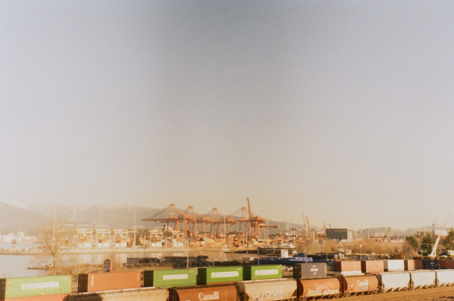 Harbor