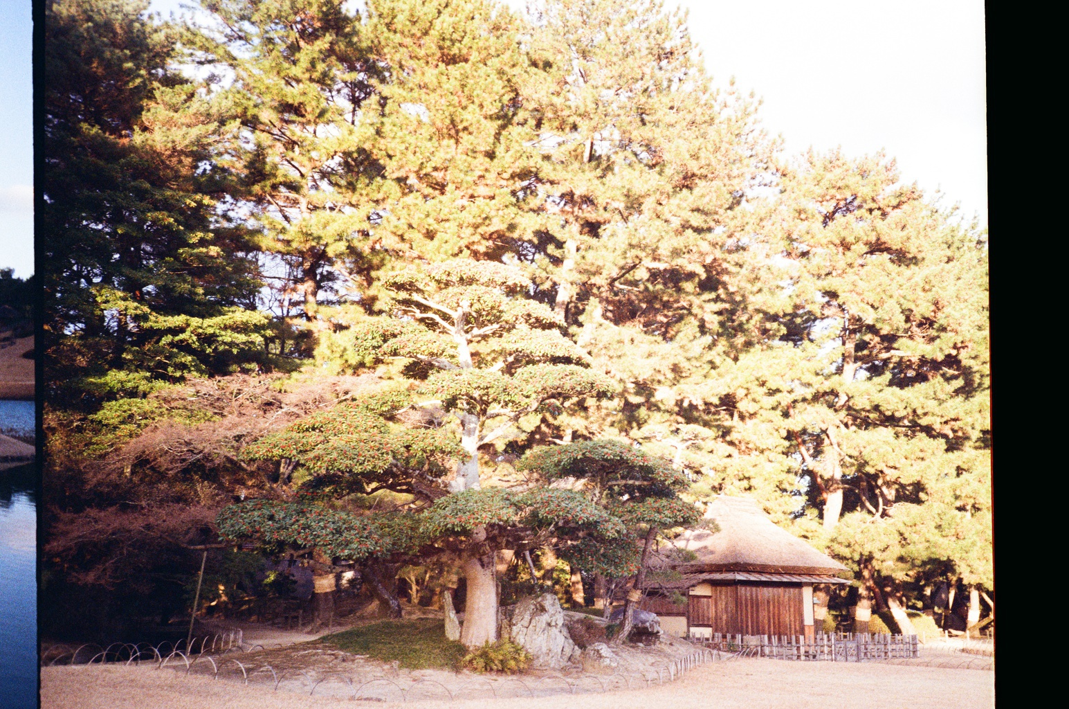Japanese Garden
