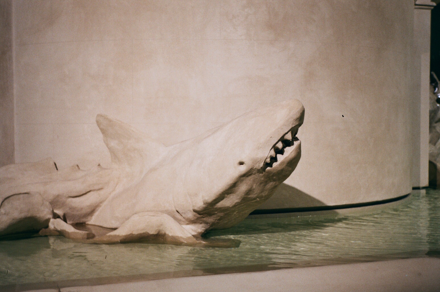Aquarium