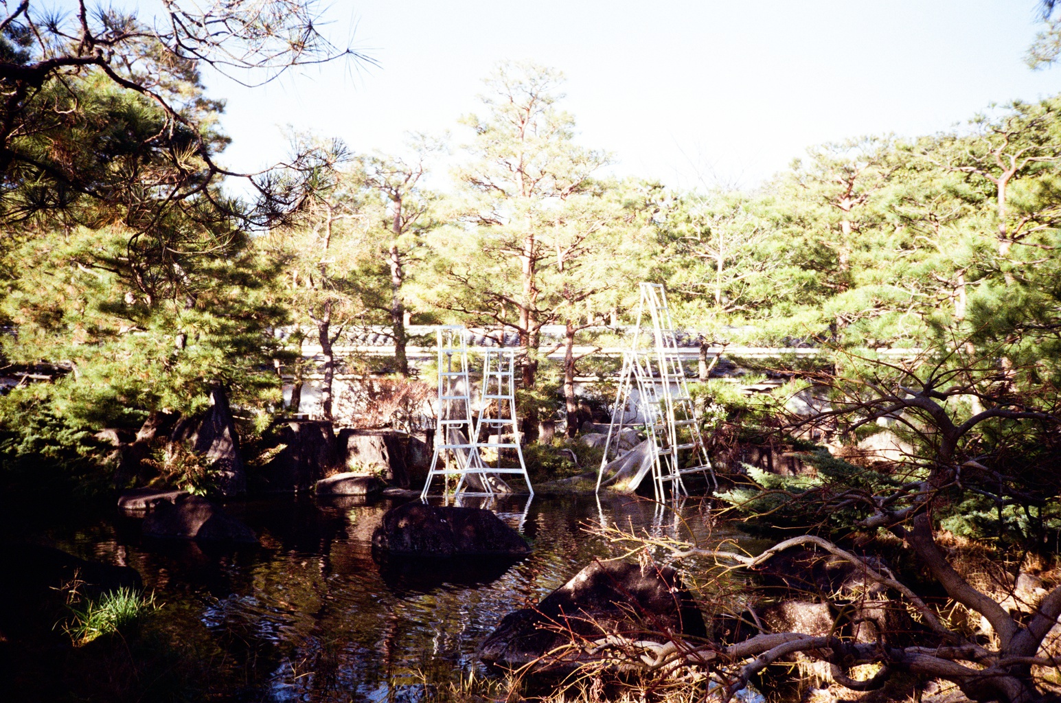 Japanese Garden