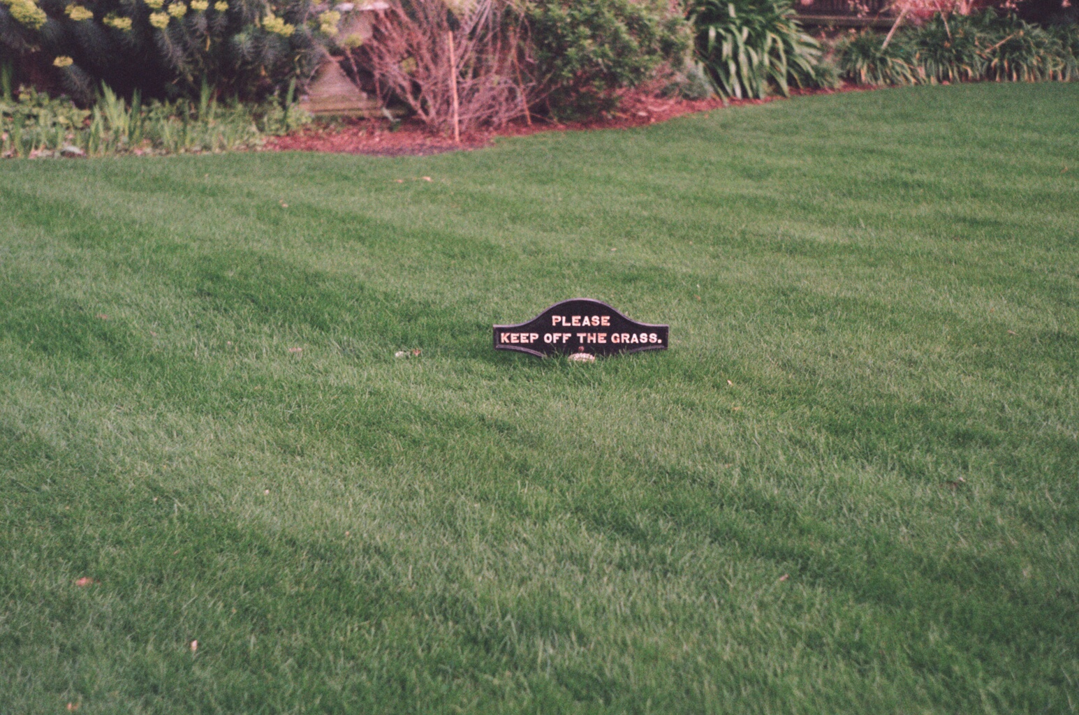 Lawn
