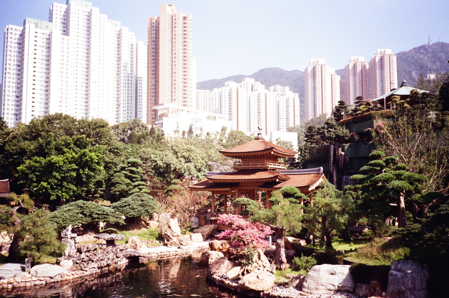 Japanese Garden