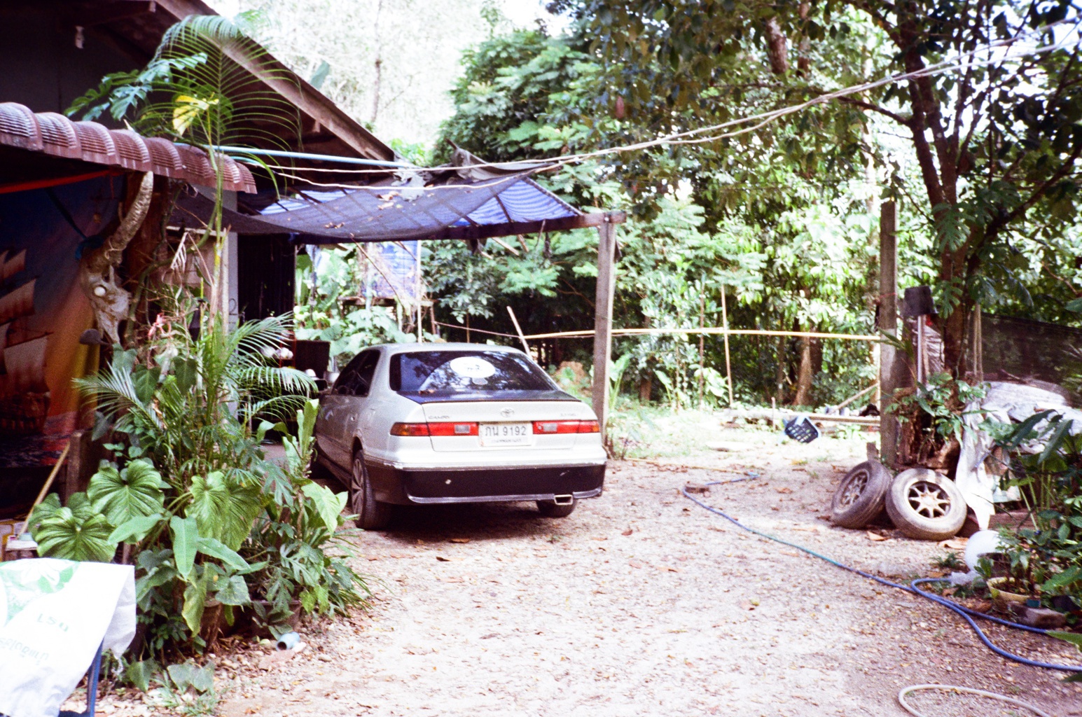 Driveway