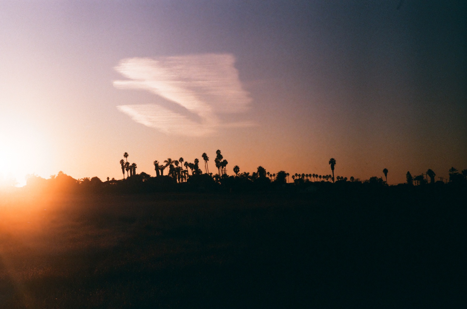 Sky