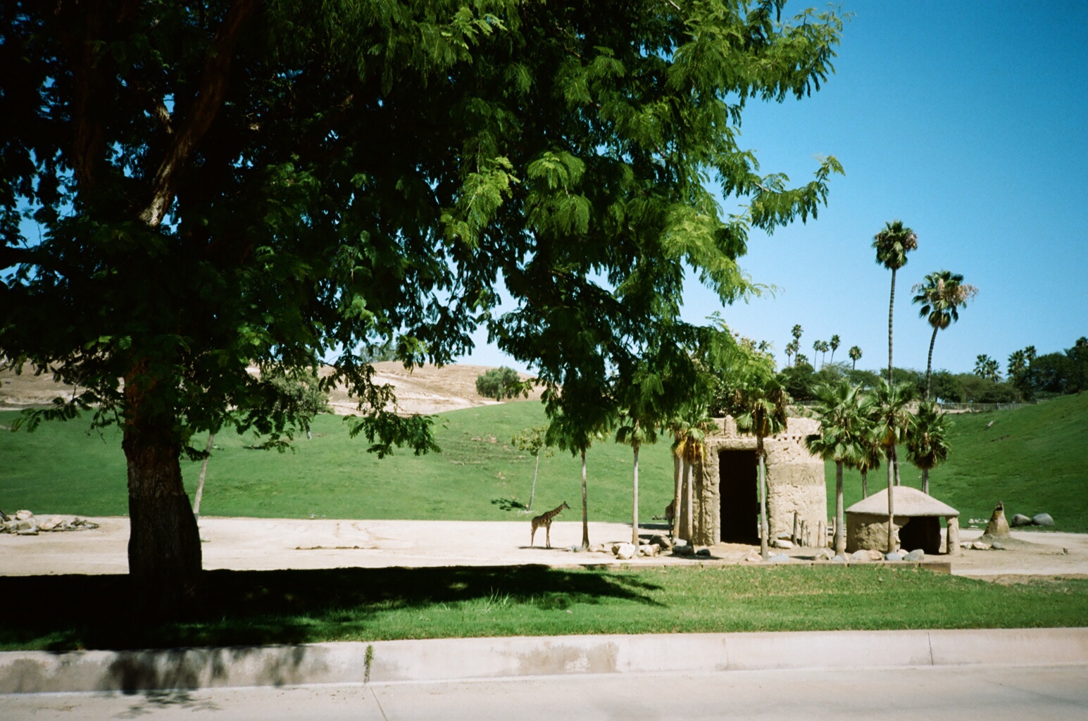 Picnic Area