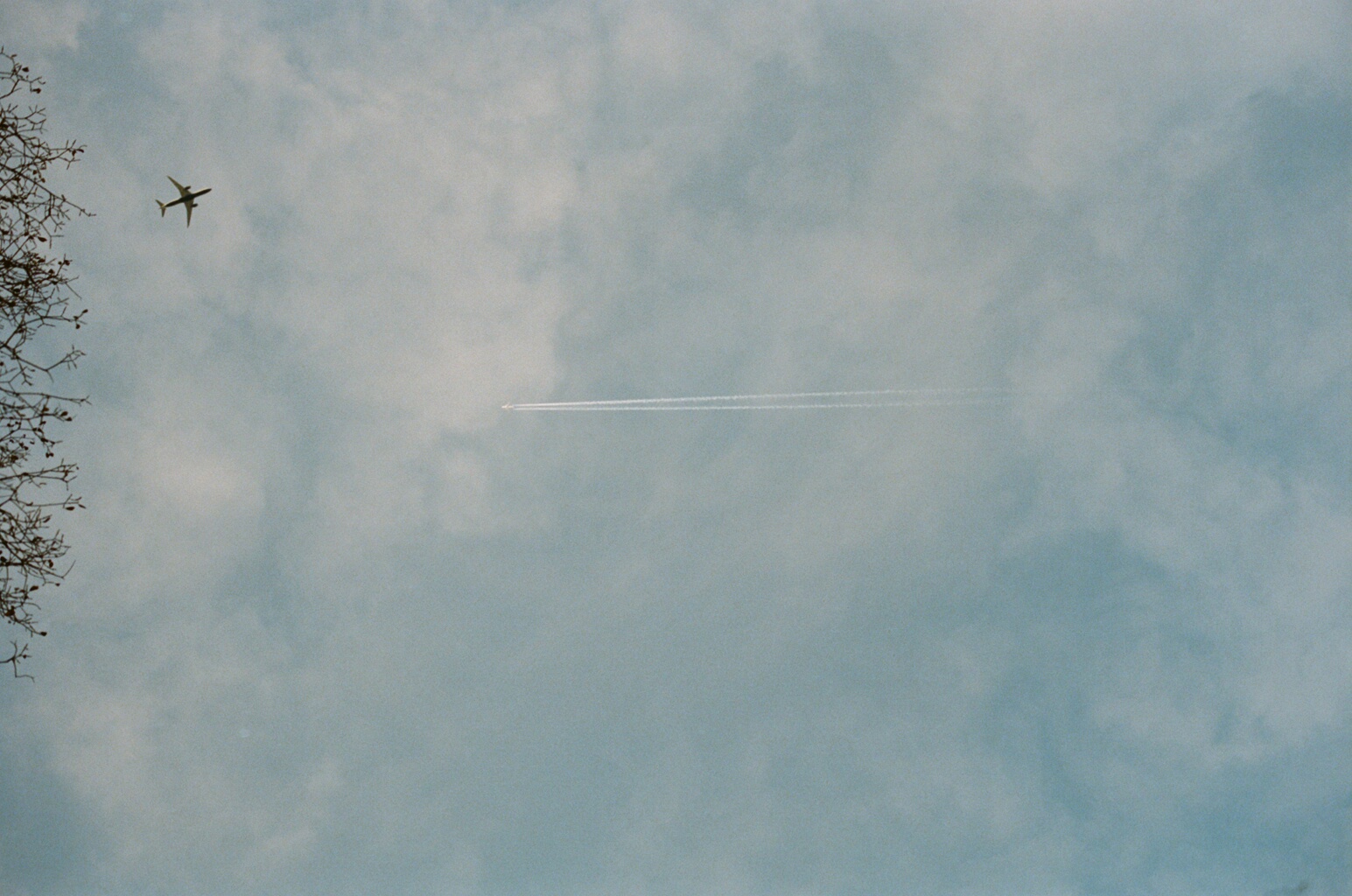 Sky