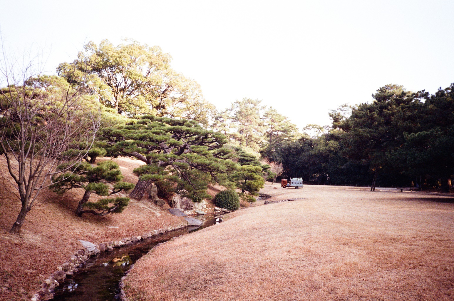 Zen Garden