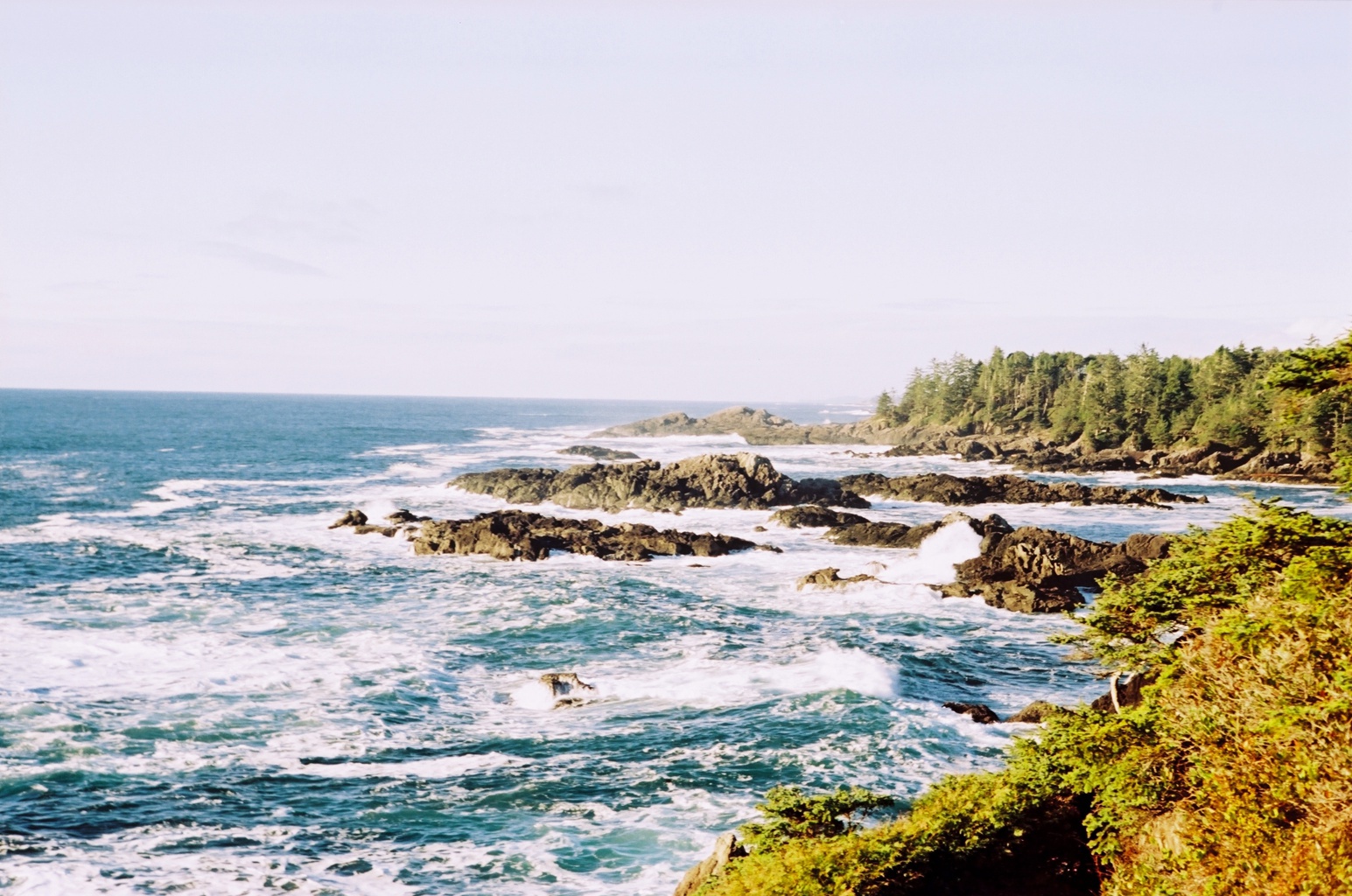 Ocean