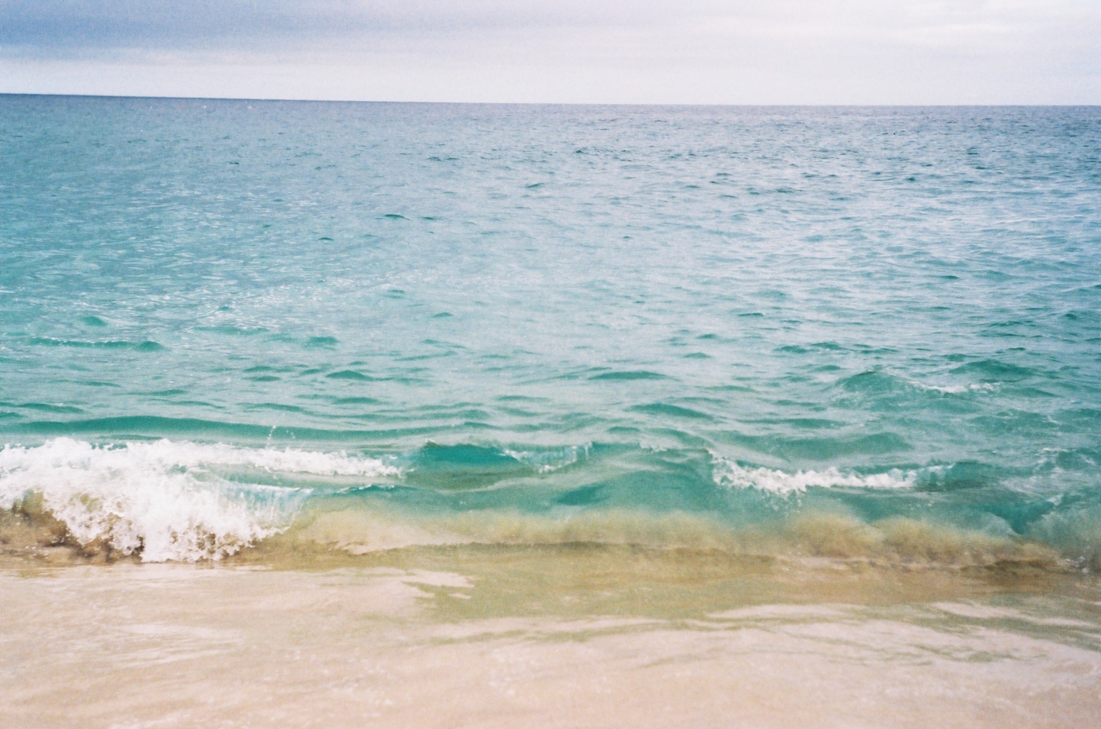 Wave